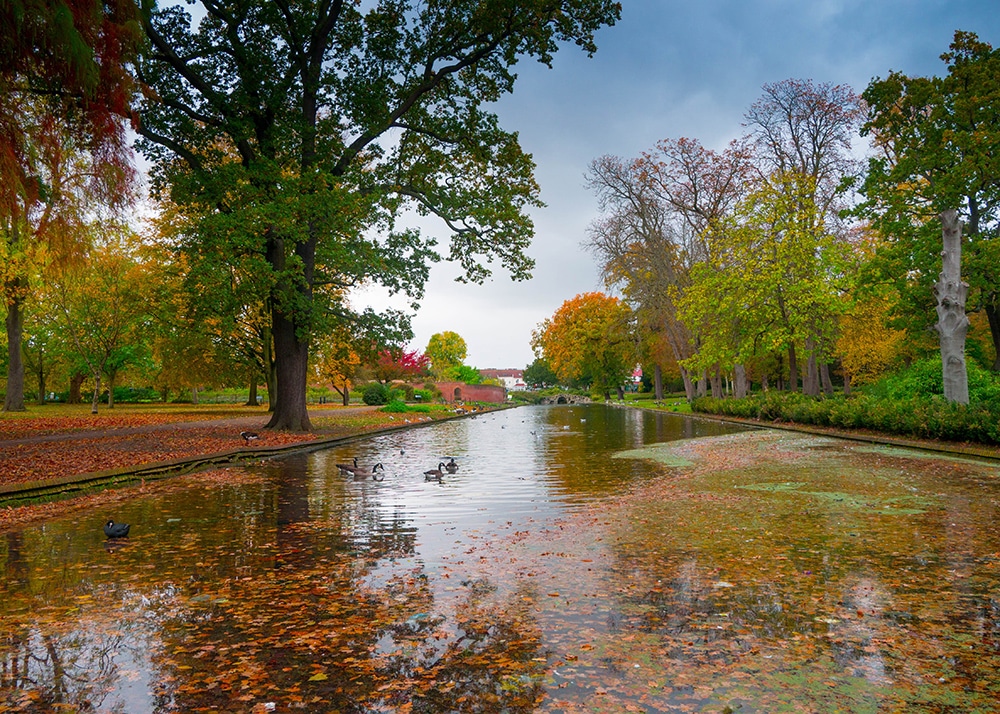 lake view to the bridge in the autumn
