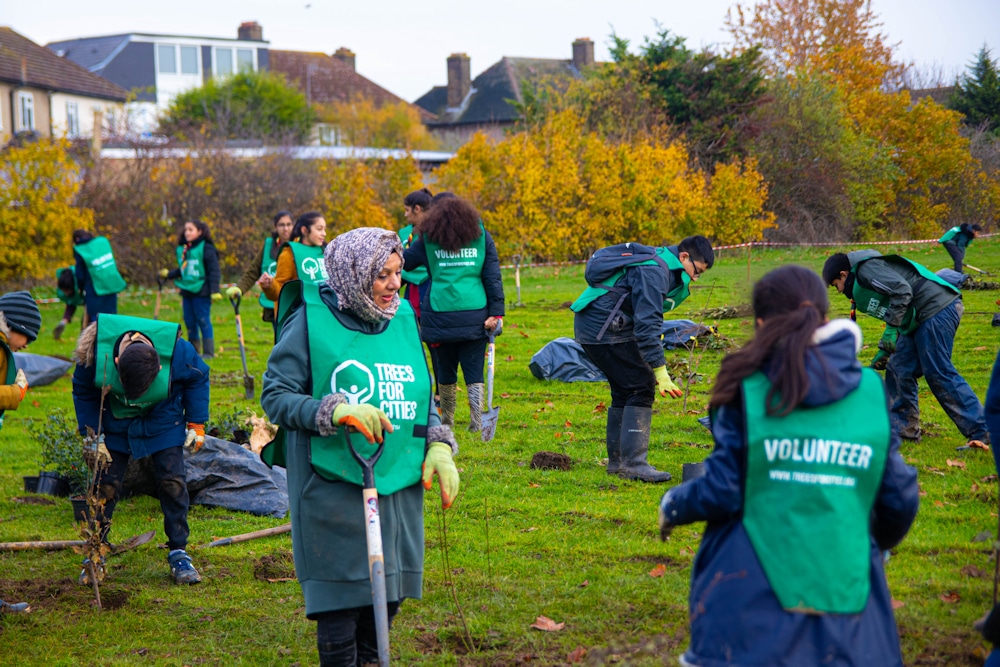 volunteers planting trees