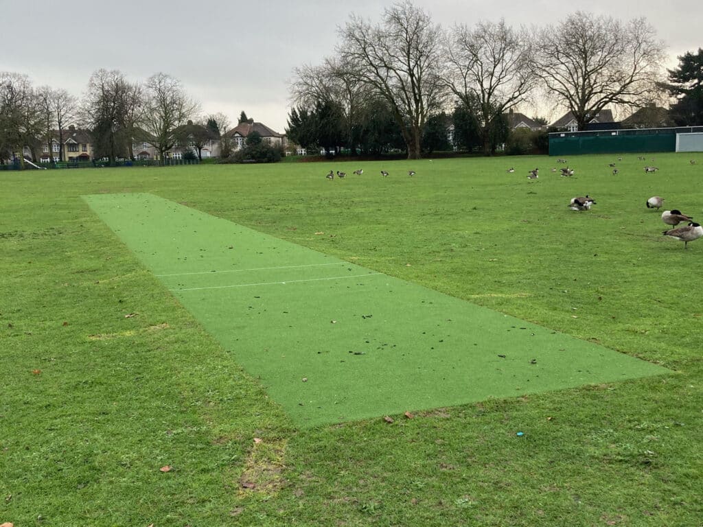 South Park cricket pitch