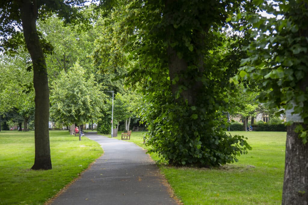 christchurch green open space