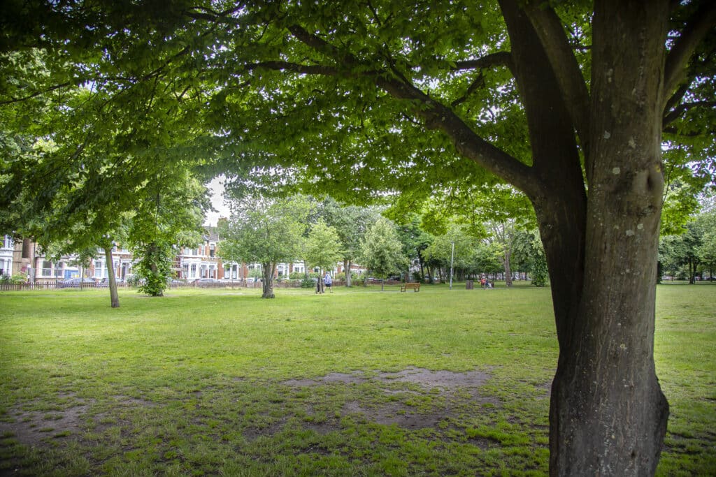 Christchurch Green open space