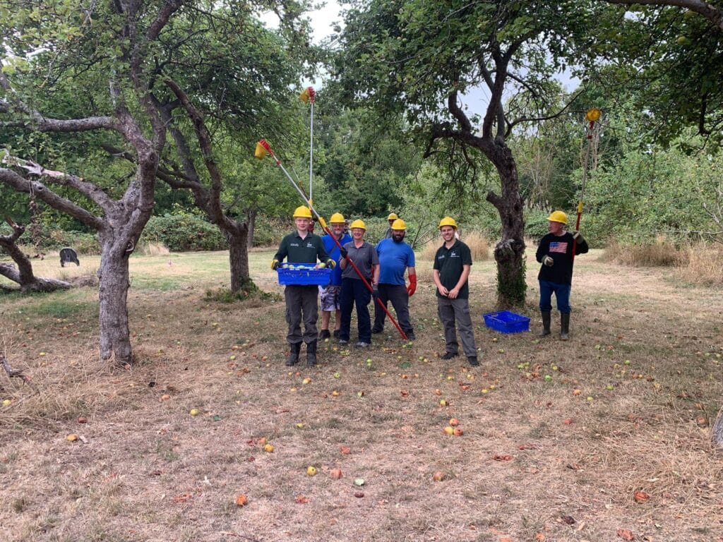 Volunteers picking apples from the Orchard